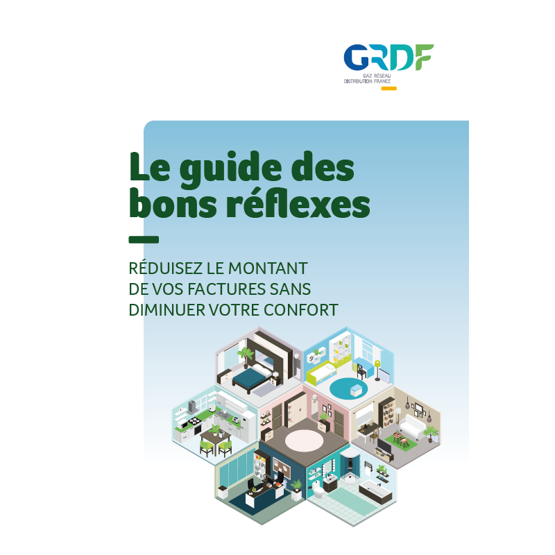 Brochure "Le Guide Eco Gestes" - Promotion privée (lot de 50 ex)